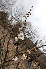 p3080683_thumb.jpg