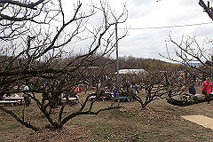 p3080684_thumb.jpg