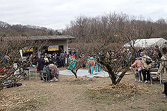 p3080686_thumb.jpg