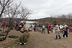 p3080688_thumb.jpg