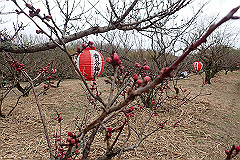 p3080689_thumb.jpg