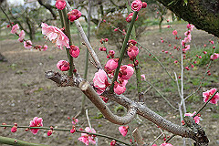 p3080700_thumb.jpg