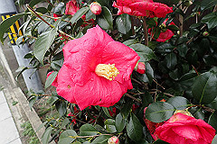 p3080704_thumb.jpg