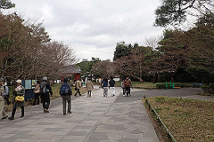 p3080733_thumb.jpg