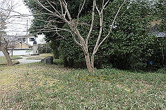 p3080734_thumb.jpg