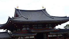 p3080744_thumb.jpg