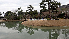 p3080750_thumb.jpg
