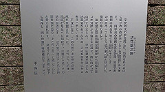 p3080752_thumb.jpg