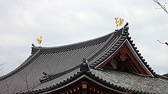 p3080754_thumb.jpg