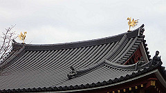p3080755_thumb.jpg