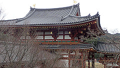 p3080756_thumb.jpg