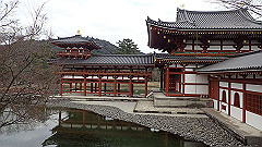 p3080758_thumb.jpg