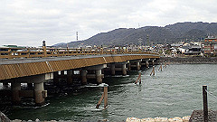 p3080765_thumb.jpg
