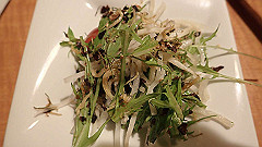 p3080774_thumb.jpg