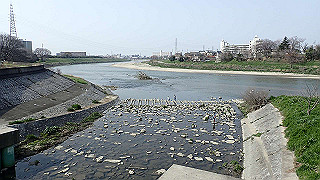 p3220848_thumb.jpg