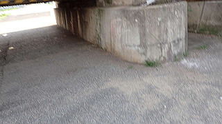 p3220853_thumb.jpg