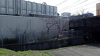 p3220861_thumb.jpg