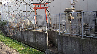 p3220862_thumb.jpg