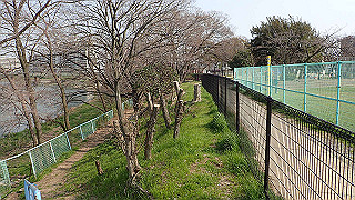 p3220897_thumb.jpg