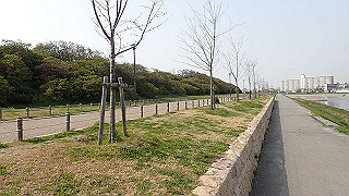 p3220904_thumb.jpg