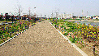 p3220913_thumb.jpg