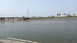 p3220928_thumb.jpg