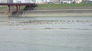 p3220929_thumb.jpg