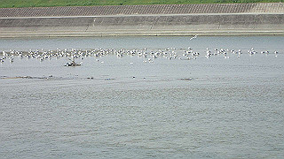 p3220930_thumb.jpg