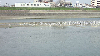 p3220932_thumb.jpg