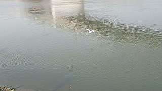 p3220945_thumb.jpg