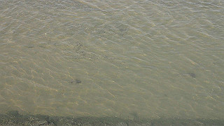 p3220953_thumb.jpg