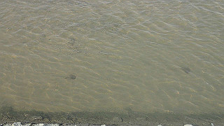 p3220954_thumb.jpg