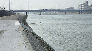 p3220957_thumb.jpg