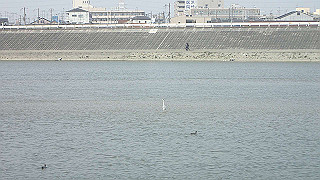 p3220960_thumb.jpg