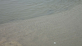 p3220961_thumb.jpg