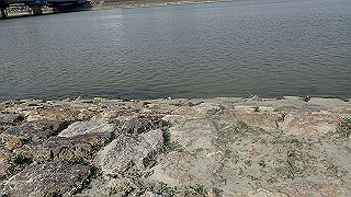 p3220966_thumb.jpg