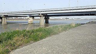 p3220970_thumb.jpg