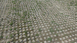 p3220974_thumb.jpg