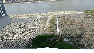 p3220987_thumb.jpg