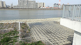 p3220989_thumb.jpg