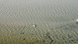 p3221006_thumb.jpg