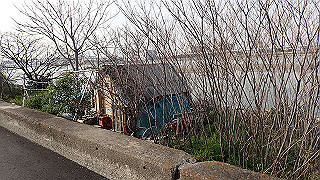 p3221031_thumb.jpg