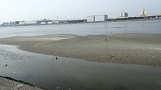 p3221035_thumb.jpg