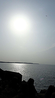 p3221043_thumb.jpg