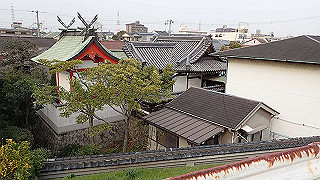 p3221067_thumb.jpg