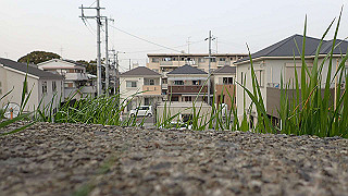 p3221075_thumb.jpg