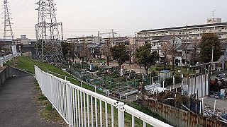 p3221084_thumb.jpg