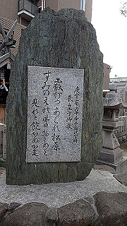 p3221112_thumb.jpg