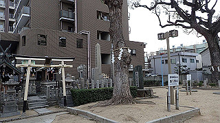p3221114_thumb.jpg