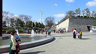 p3241140_thumb.jpg